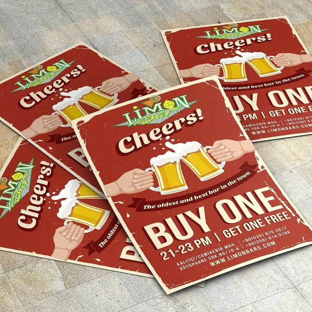 Limon Brochure Design