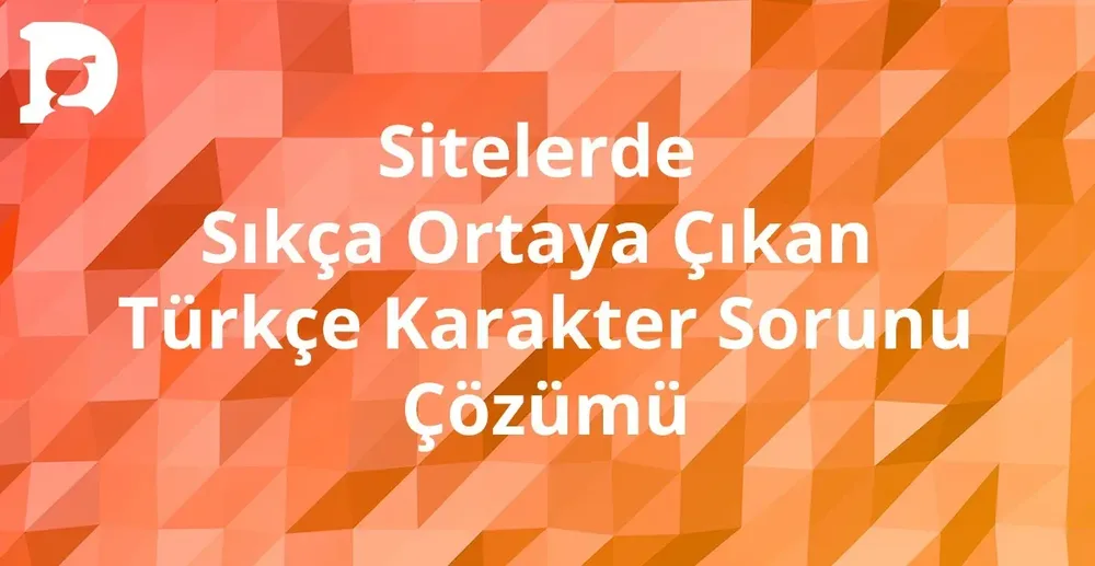 The Common Turkish Character Issue on Websites