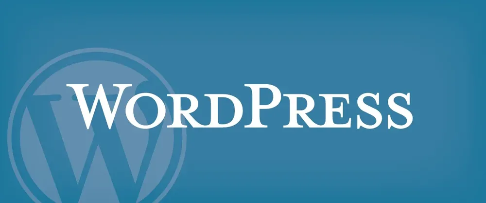 8 Important Things You Should Learn About WordPress