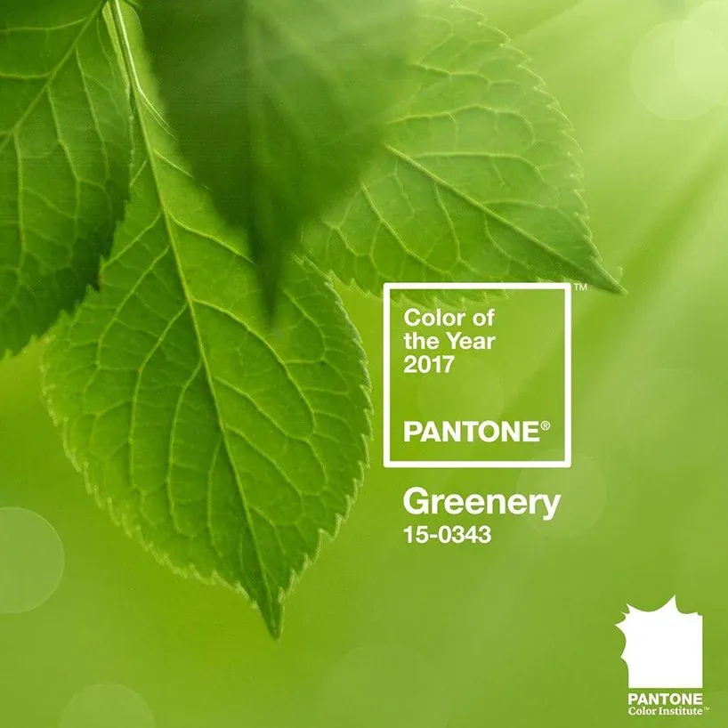 Pantone, 2017 Yılının Rengini Açığa Çıkarıyor: Yeşillik