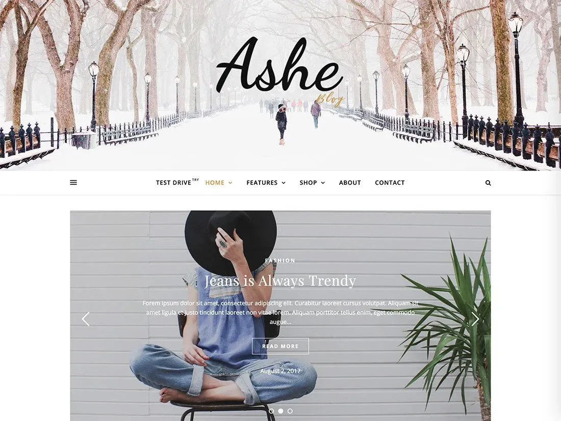 Ashe elegant blog WordPress theme