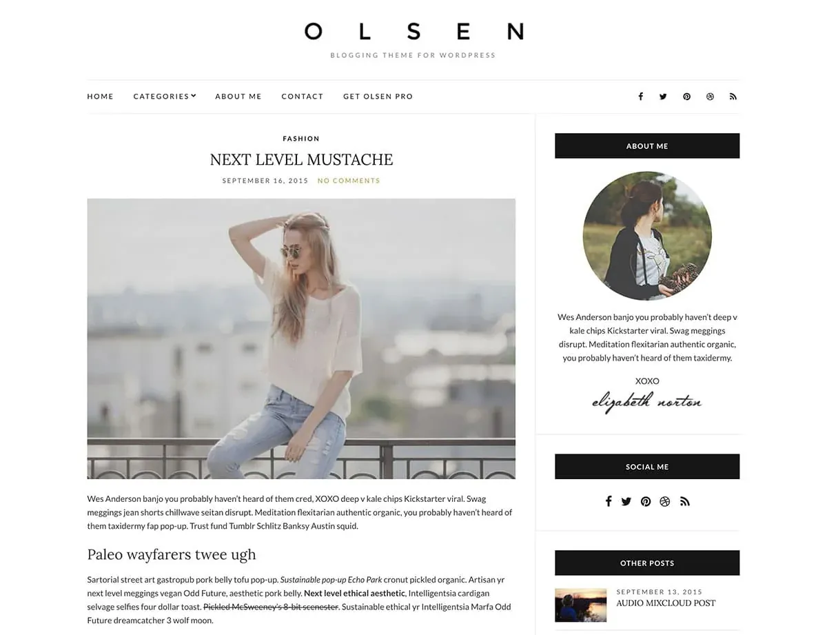 Olsen Light WordPress blog theme