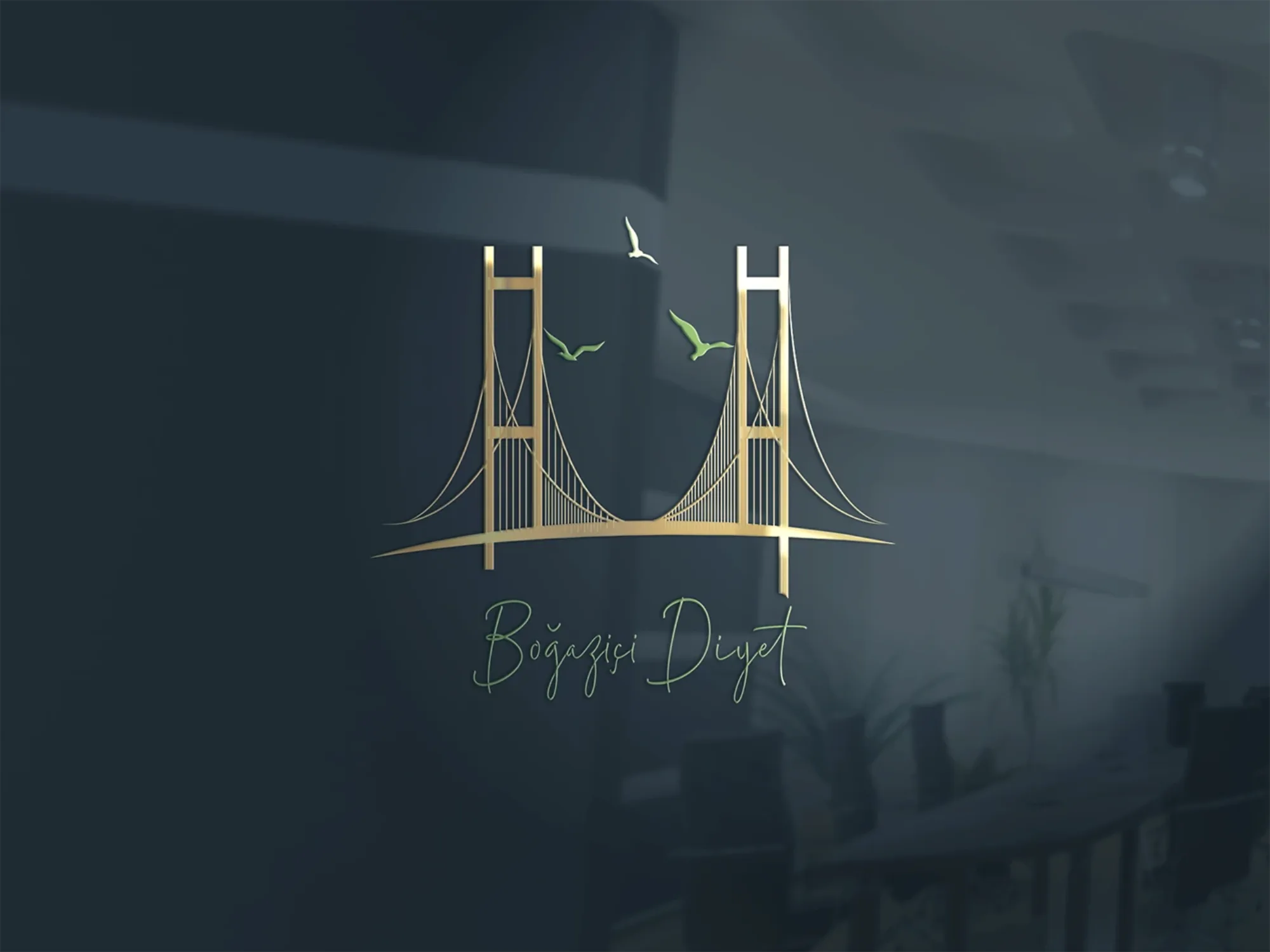 Boğaziçi Diyet - Logo Design image 1