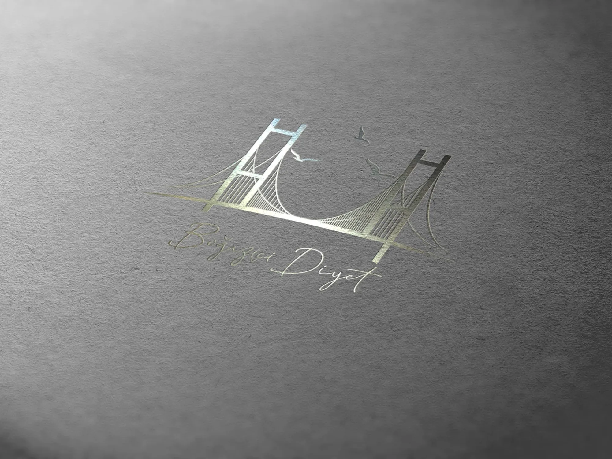 Boğaziçi Diyet - Logo Design image 2