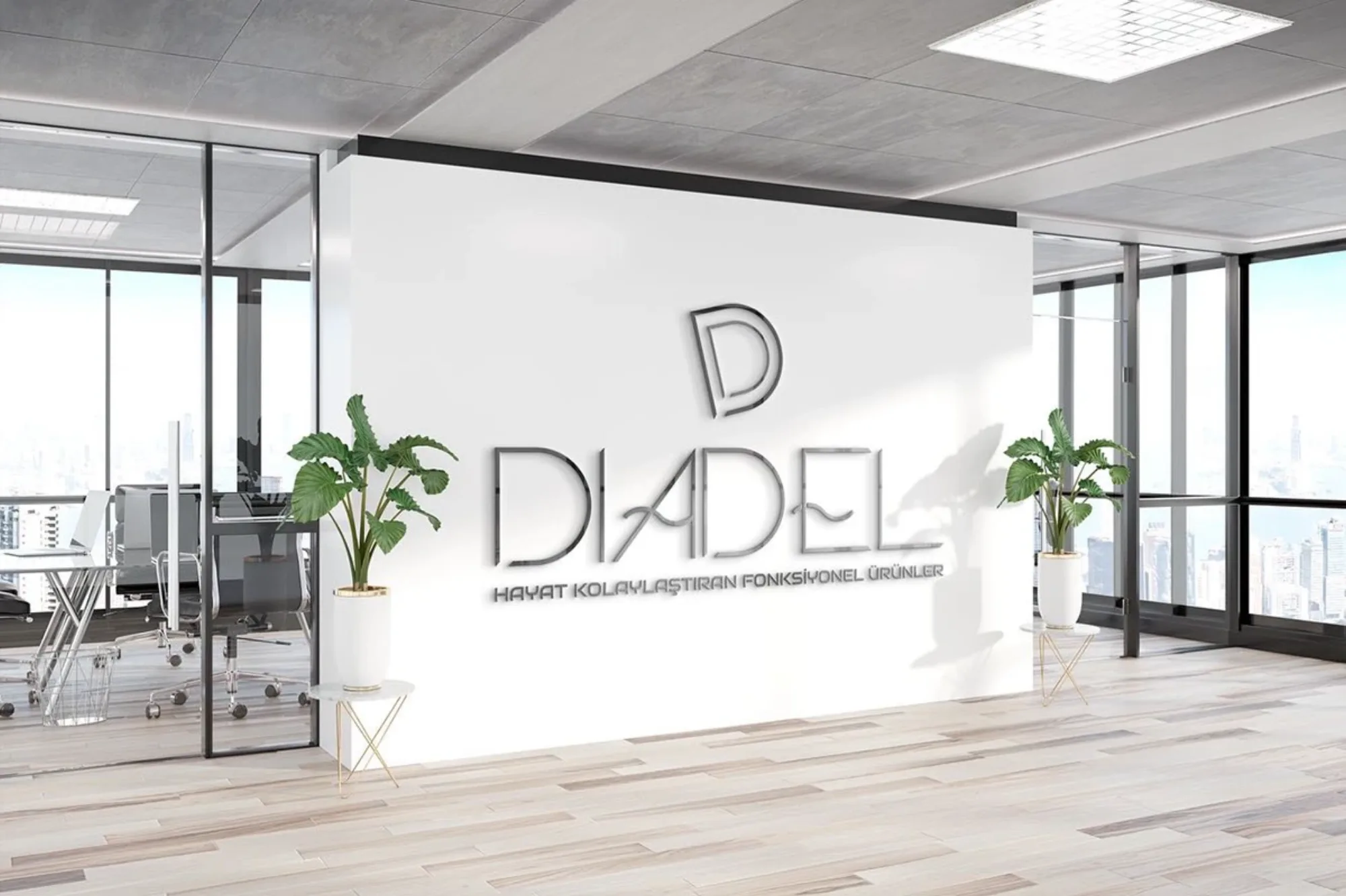 Diadel Shop Logo Design görsel 3