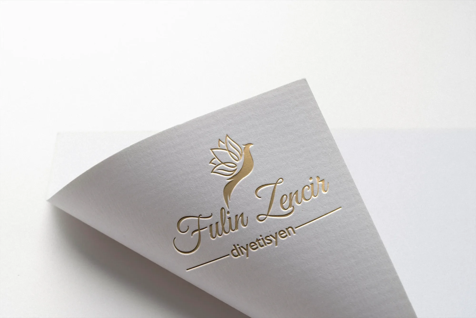 Dietitian Fulin Z. - Logo Design görsel 2