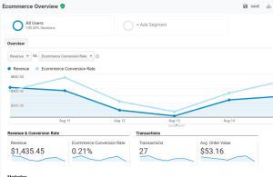 1 ga ecommerce tracking report overview 1024x666