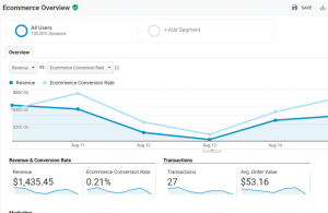 1 ga ecommerce tracking report overview 768x499